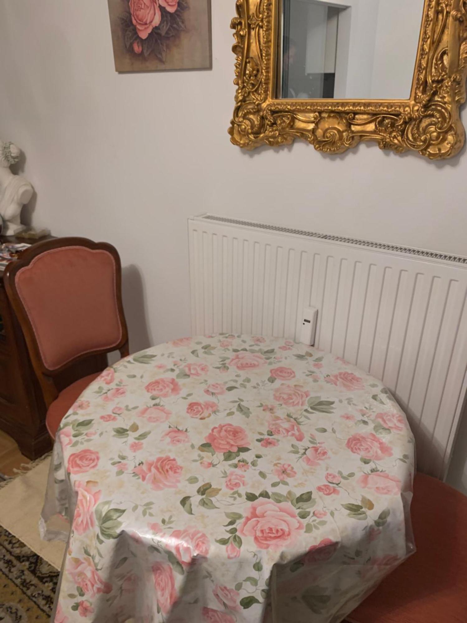 Einzimmerwohnung Am Jakomini 格拉茨 外观 照片